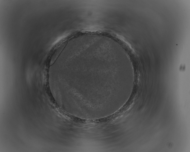 X0000094441350200711211447