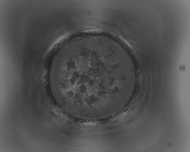X0000094441351200711211447