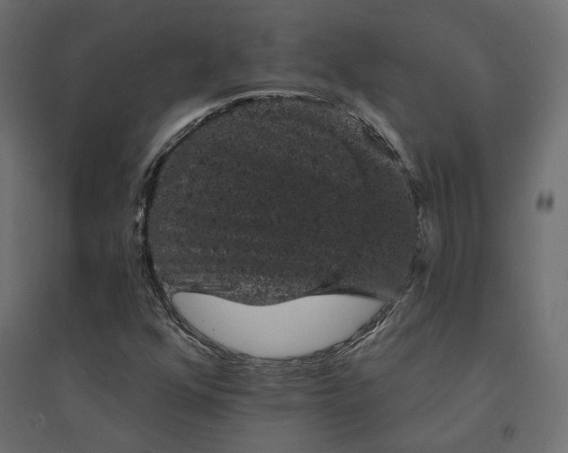X0000094441352200711211447