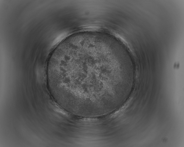 X0000094441354200711211447