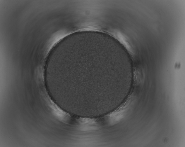 X0000094441356200711211447