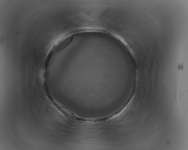 X0000094441357200711211447