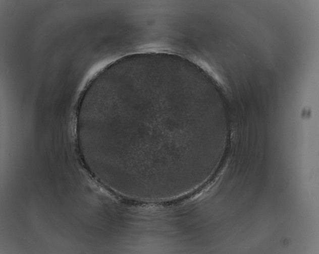 X0000094441358200711211447