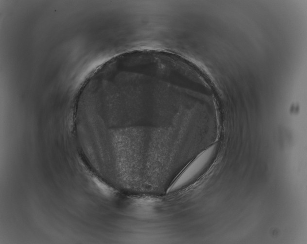 X0000094441359200711211447