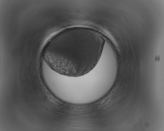 X0000094441360200711211447