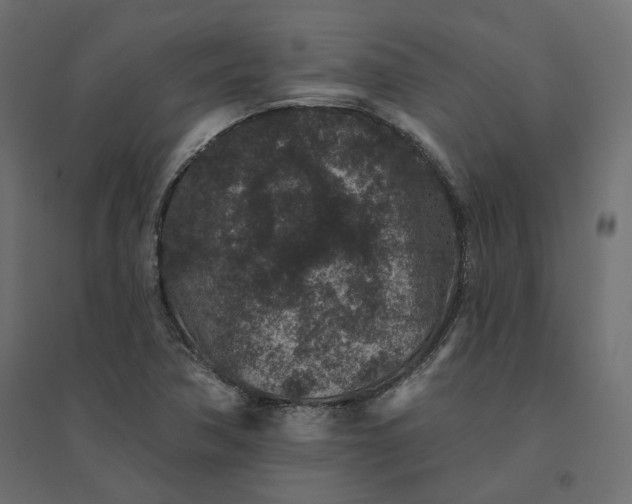 X0000094441362200711211447