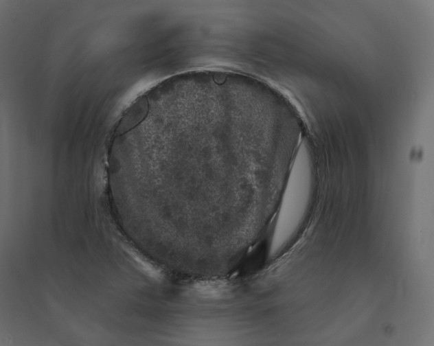 X0000094441363200711211447