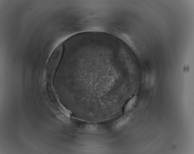 X0000094441364200711211447