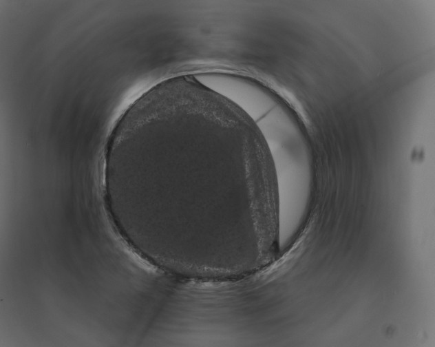 X0000094441365200711211446
