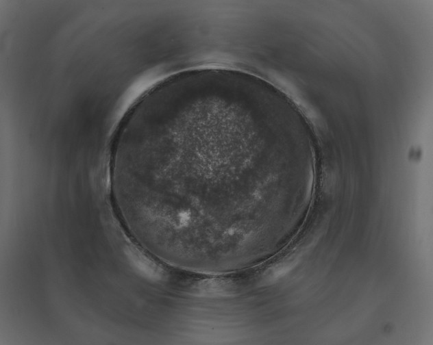 X0000094441368200711211446