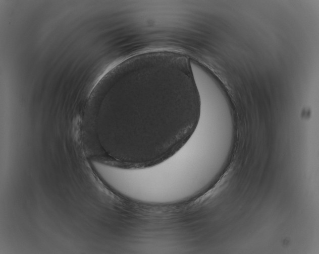 X0000094441369200711211446