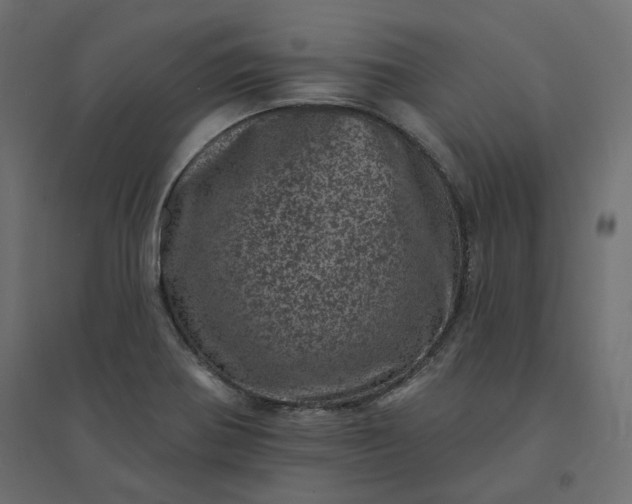 X0000094441370200711211446