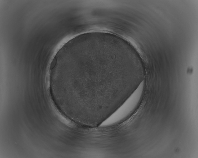 X0000094441371200711211446