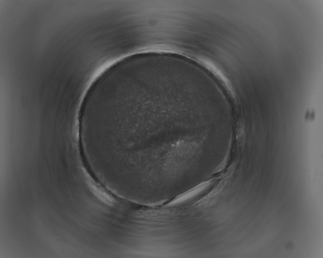 X0000094441372200711211446