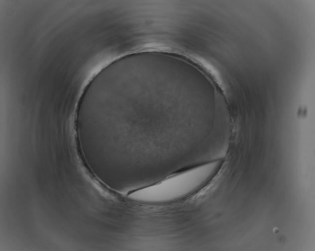 X0000094441373200711211446