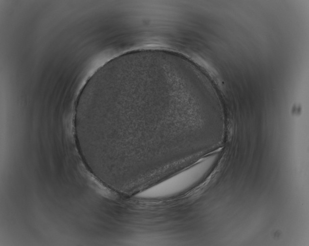 X0000094441374200711211446