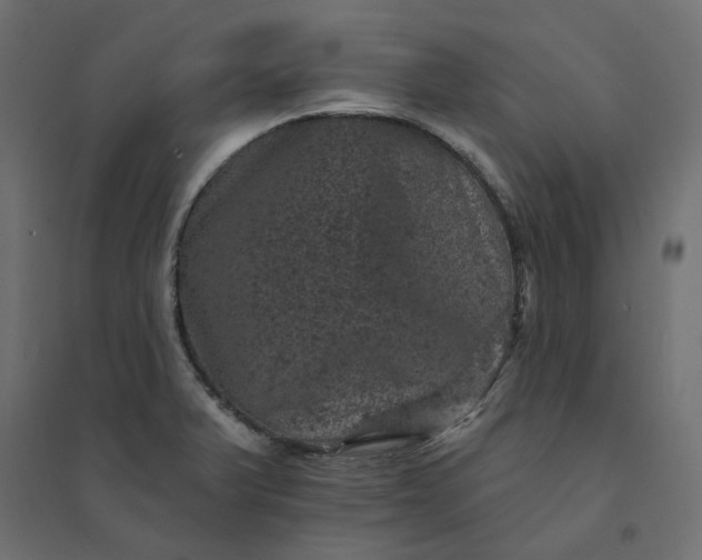 X0000094441375200711211446