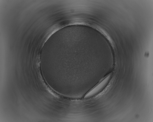 X0000094441377200711211446