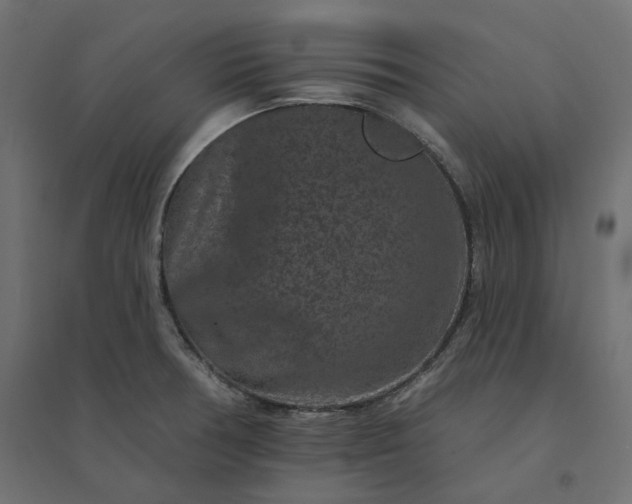 X0000094441378200711211446