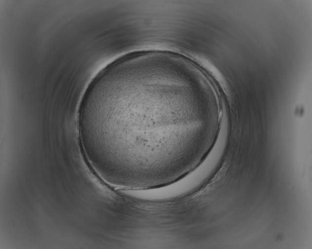 X0000094441380200711211446