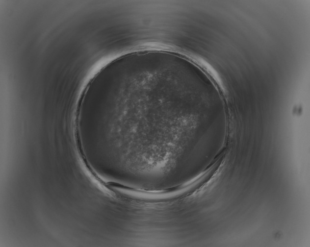 X0000094441381200711211446
