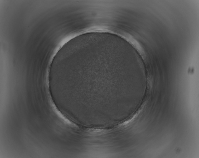 X0000094441382200711211446