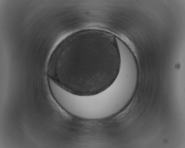 X0000094441384200711211446