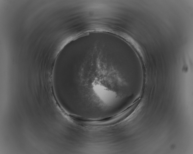 X0000094441385200711211446
