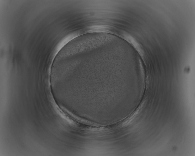 X0000094441386200711211446