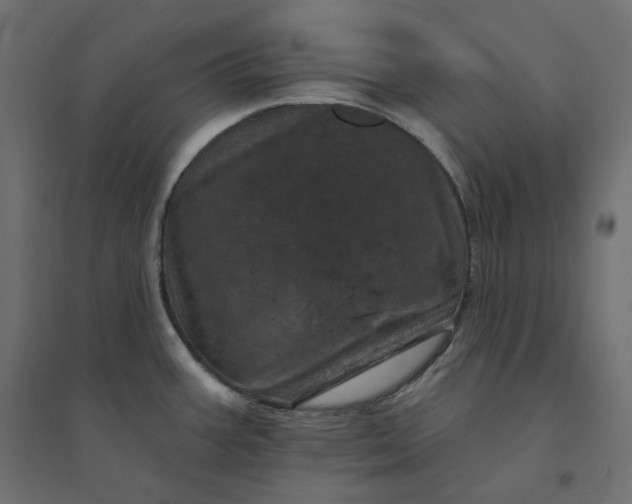 X0000094441387200711211446