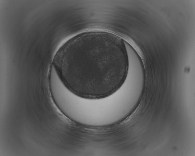 X0000094441388200711211446