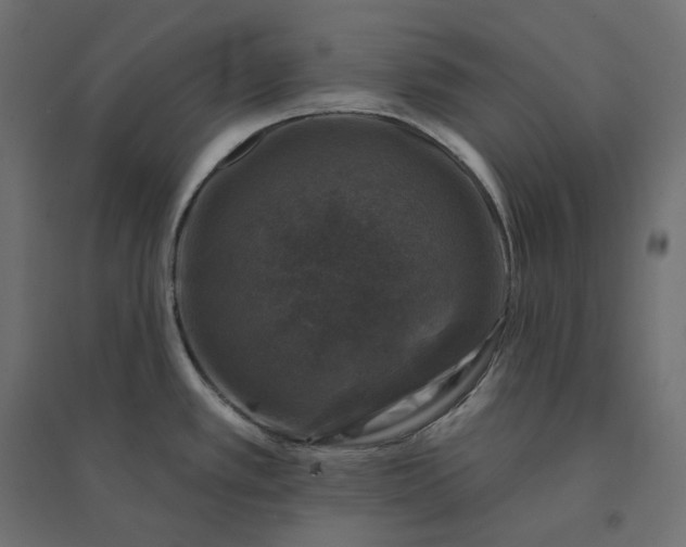 X0000094441389200711211446