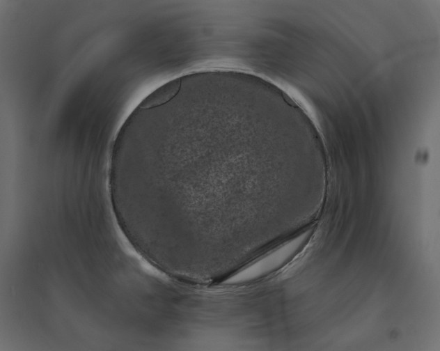X0000094441390200711211446