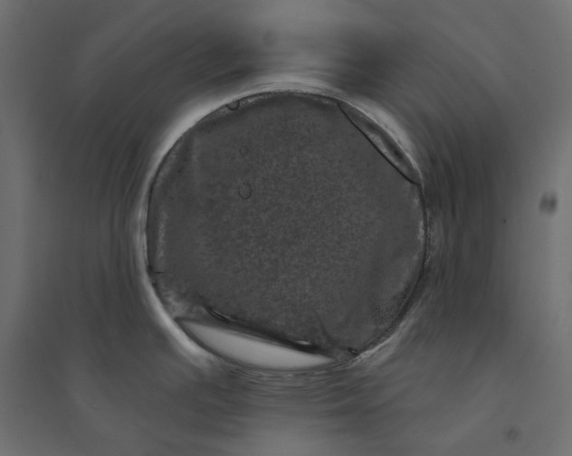 X0000094441391200711211446