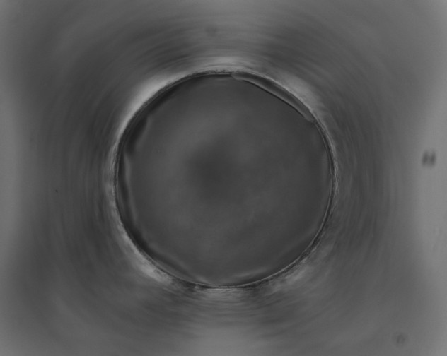 X0000094441392200711211446