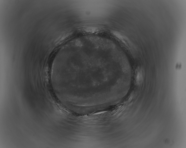 X0000094441394200711211445