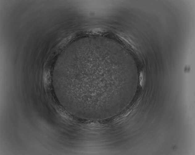X0000094441395200711211445