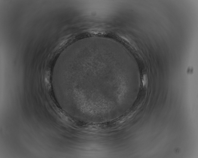 X0000094441396200711211446