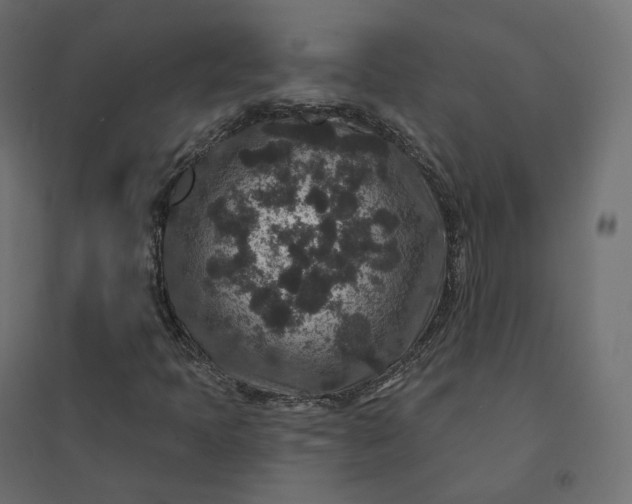 X0000094441397200711211446