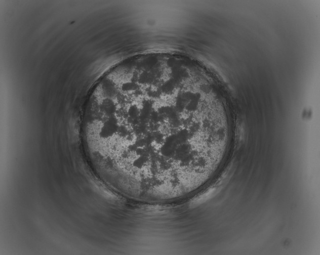X0000094441401200711211446