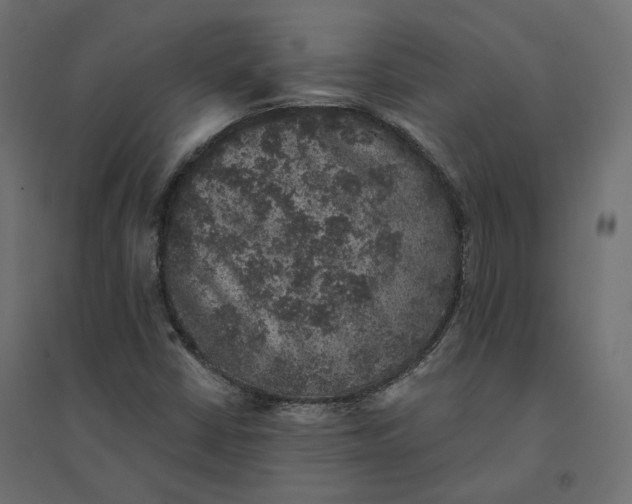 X0000094441402200711211446