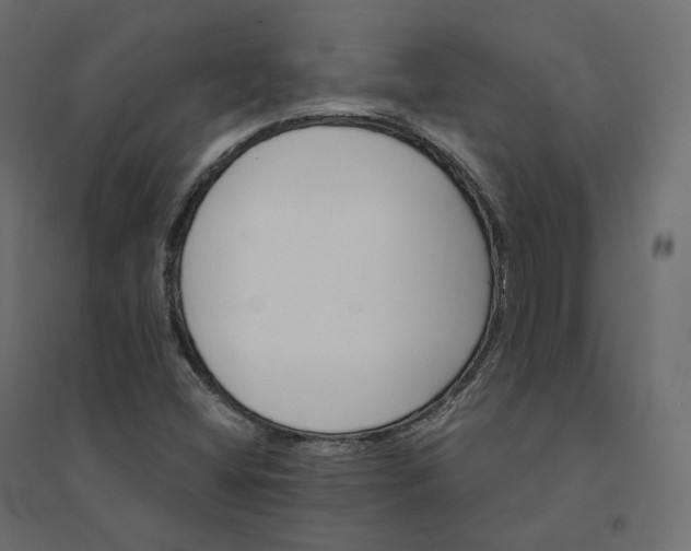 X0000094441404200711211446