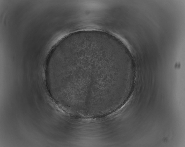 X0000094441407200711211446