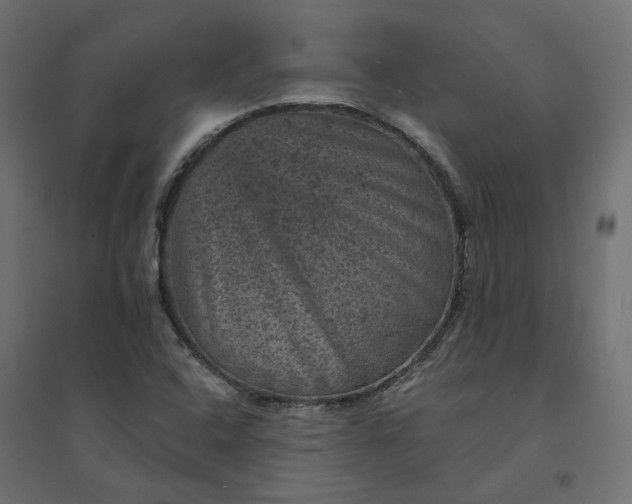 X0000094441408200711211446