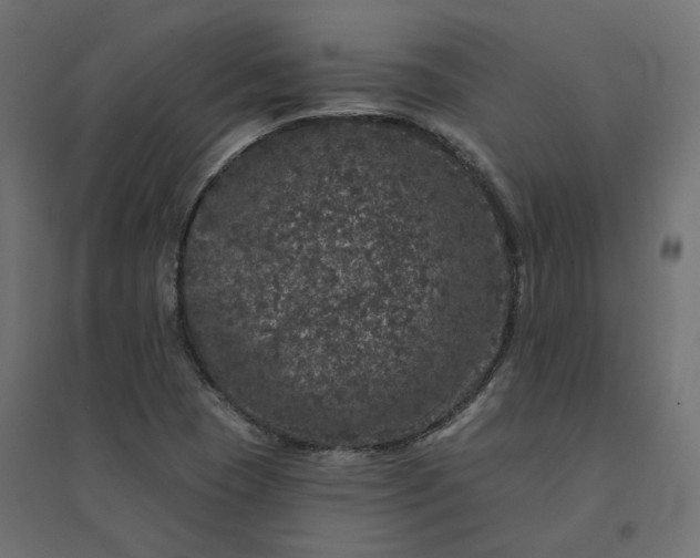 X0000094441409200711211446