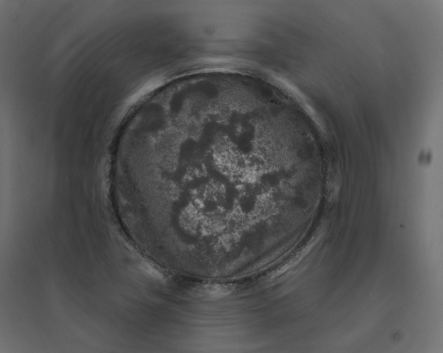 X0000094441411200711211446