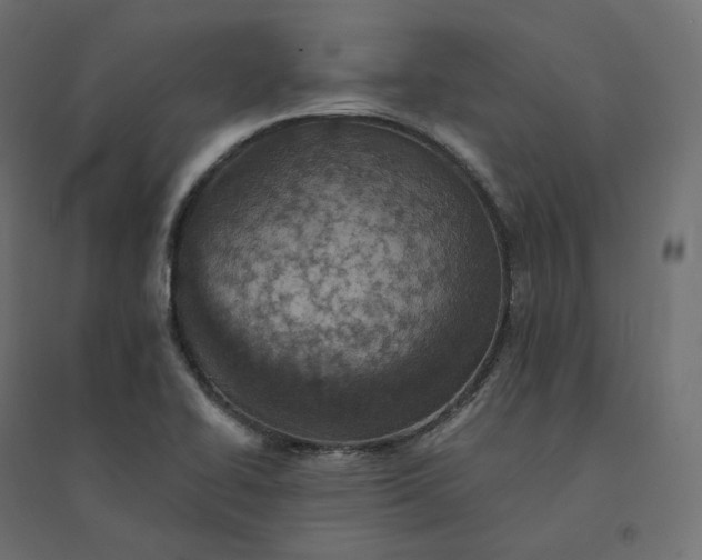 X0000094441414200711211446