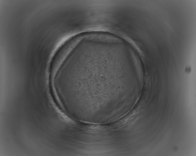 X0000094441416200711211446