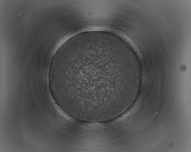 X0000094441417200711211446