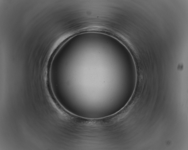 X0000094441418200711211446